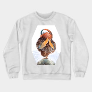 Mandarin Duck Art by Nadya Neklioudova Crewneck Sweatshirt